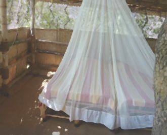 Jungle Retreat Resort, Nilagiri 2